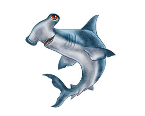 Hammerhead shark Watercolor White death of a shark isolated on a white background. For design, prints, background. Watercolor. Illustration