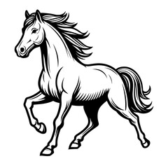 Obraz na płótnie Canvas Horse isolated Vector on a white background