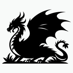 Chinese New Year symbol. Black dragon Vector on a white background