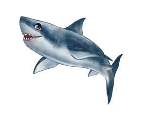 Watercolor is an excellent white shark. White death of a shark isolated on a white background. For design, prints, background. Watercolor. Illustration
