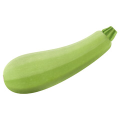Fresh zucchini isolated on background. Squash whole. Fresh vegetable marrow isolated. Oblong, green squash. Vegetable marrow courgette or zucchini. Realistic 3d vector