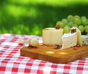 Various sorts of cheese with grapes