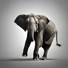 Zelfklevend Fotobehang elephant isolated dancing © Gwis