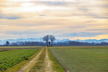 a field path near Graben near Augsburg leads to a wayside cross under a cloudy sky with the Alps in the background - obrazy, fototapety, plakaty