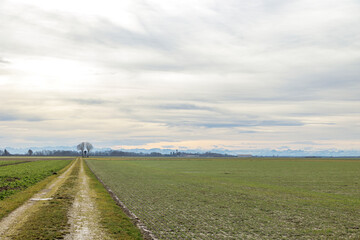 Fototapeta na wymiar a field path near Graben near Augsburg leads to a wayside cross under a cloudy sky with the Alps in the background
