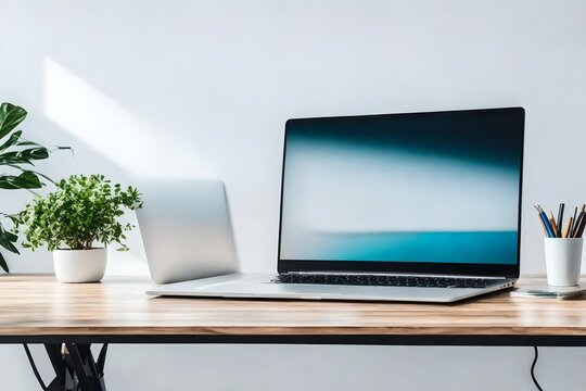 laptop with blank screen on work desk in front of white wall and plant