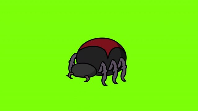Spider attack loop animation. Game assets character enemy. Green screen loop.