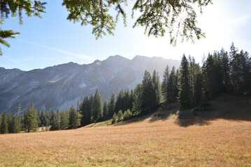 Aussicht von Sörenberg in richtung Brienzer Rothorn