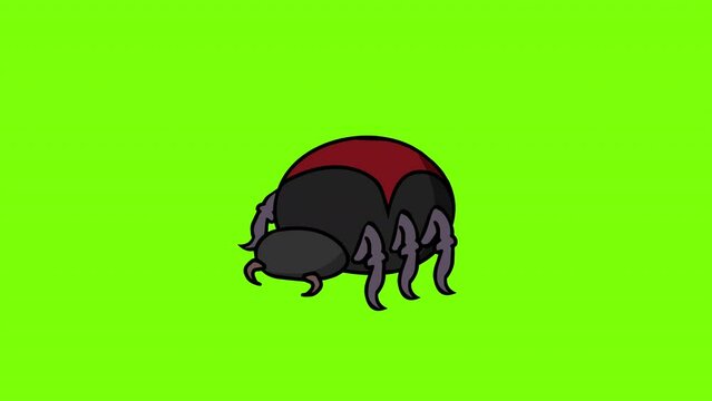 Spider walk animation. Game assets character enemy. Green screen loop.