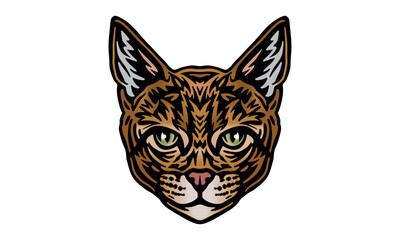 Abyssinian_Cat_on_white_background