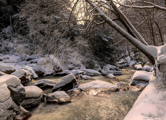 Small stream in the winter