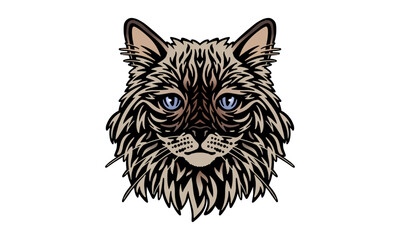 Ragdoll_Cat_on_white_background