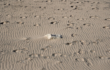 A lot of foot steps on sand on seashore. Stone in the middle of sand. Nature background