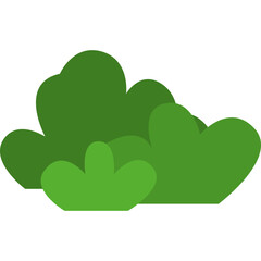 Bush Flat Illustration