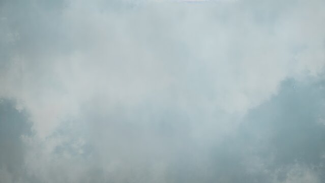 Dusty Blue Old Masters printed backdrop