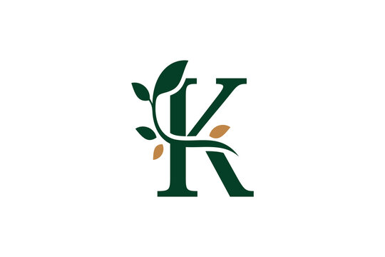initial letter logo design k letter stylish and elegant