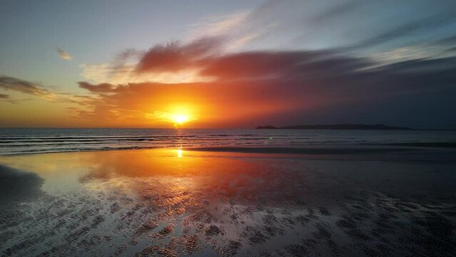 Sunrise red delight