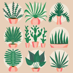 Set of house plants in pots. Plants for the home.