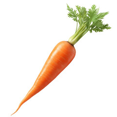 carrots isolated on white