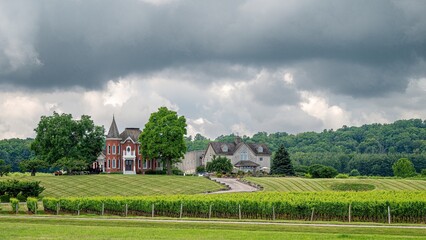 Fototapeta na wymiar Landscape of a vineyard on a hillside with a stormy sky