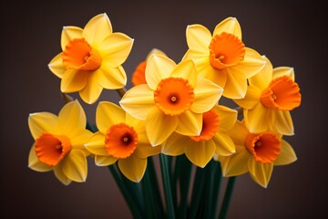 Fototapeta premium Cute yellow flower in a garden