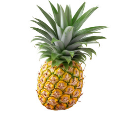 Fototapeta premium pineapple on white background