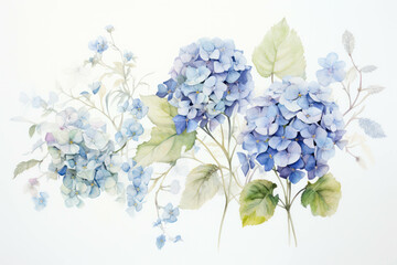 Summer leaf background hydrangea blossom blue plant flower green nature floral blooming