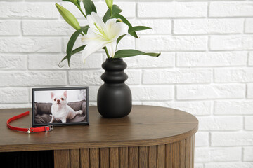 Frame with picture of dog, collar and lily flowers on wooden table near light brick wall. Pet...