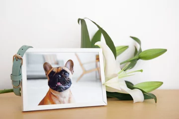 Foto op Aluminium Frame with picture of dog, collar and lily flowers on wooden table near light wall. Pet funeral © Pixel-Shot