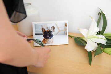 Woman near wooden table with collar, picture of dog and lily flowers, closeup. Pet funeral