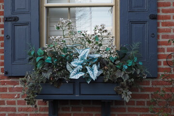 The blue flower box matches the shutters on the window.