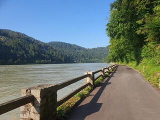Beautiful bike path at famous Danube River: Donauradweg next to the river on a sunny day with clear blue sky and copy space for text, austria