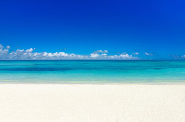Fototapeta na wymiar Tropical beach. Tropical sea under the blue sky