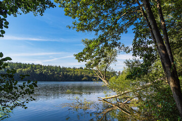 Seeblick mit B&auml;umen am Pipersee bei Salem