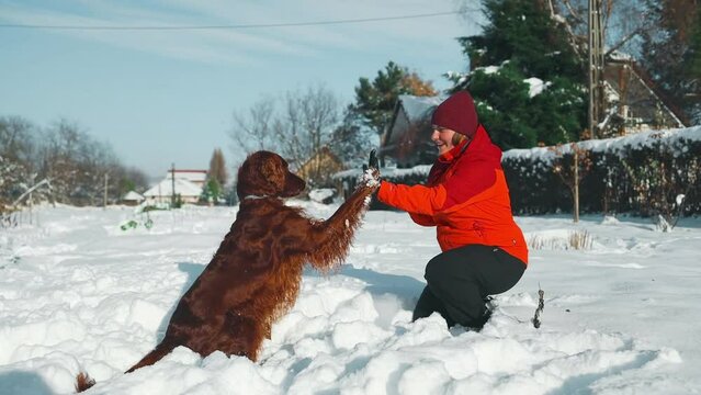Woman gives a command to her Irish Setter dog outdoors at winter time. Friendship of man and animal, healthy lifestyle. High quality FullHD footage