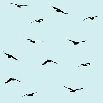 flying seagull seamless pattern in black with light blue background