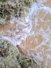 Coastal rocks and sea water as a natural background.