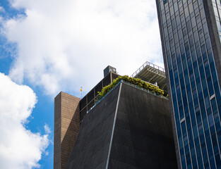 São Paulo day-to-day life street photography