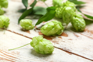 Fresh green hops on white wooden background