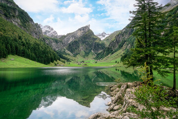 Seealpsee mountain lake reflection in Alpstein mountain range during summer at Switzerland