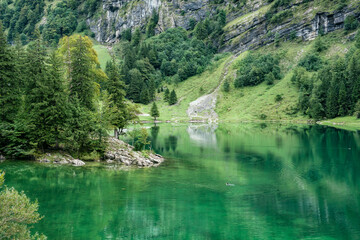 Seealpsee mountain lake reflection in Alpstein mountain range during summer at Appenzell, Switzerland