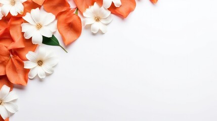Flowers with white background space