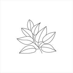 Rubber tree outline simple art drawing