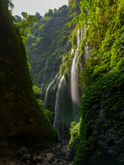 Aerial view of Madakaripura Waterfall in a green canyon located in East Java, Indonesia © Kestreloculus