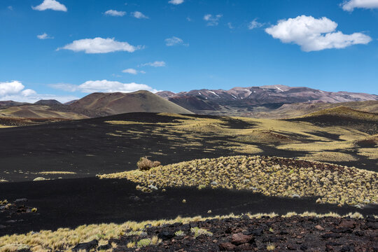 Provincial Reserve La Payunia (Reserva La Payunia), Malargue, Mendoza, Argentina