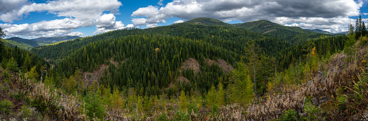 Idaho Panhandle National Forests, St. Joe River Area