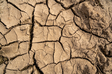 Brown dried out dirt background