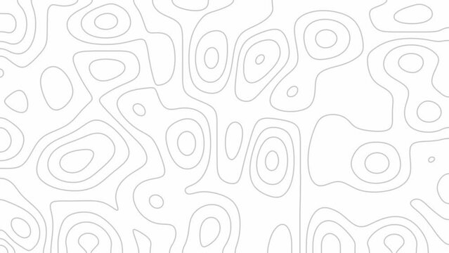 4K Topographic animation scheme and terrain. Topography grid map. Stylized topographic contour map Animation. Abstract lines or wavy background Animated Contour map background .