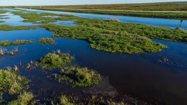Aerial view of San Bernard National Wildlife Refuge, Texas, USA
