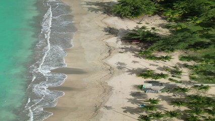 waves crashing on tropical beach with palm trees in Luquillo, Puerto Rico (vertical 4k drone footage from above looking down coastline) establishing shot for mobile (caribbean getaway vacation travel) - Powered by Adobe
